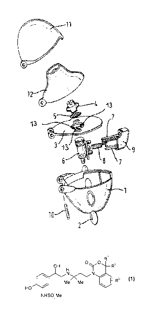 A single figure which represents the drawing illustrating the invention.